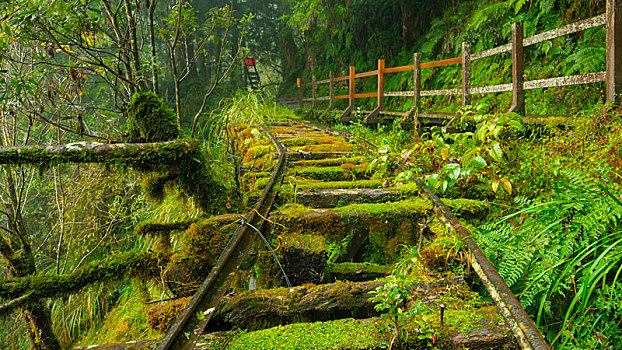 台湾宜兰县太平山见晴古道,是著名的旅游胜地