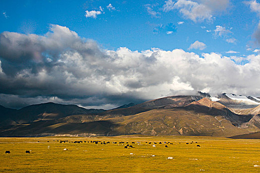 喜马拉雅山脉峡谷中的牧场