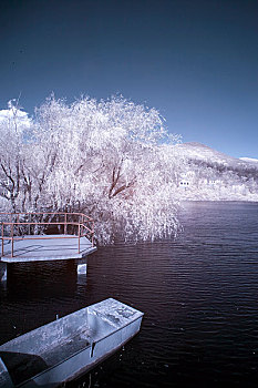 陈家沟雪景