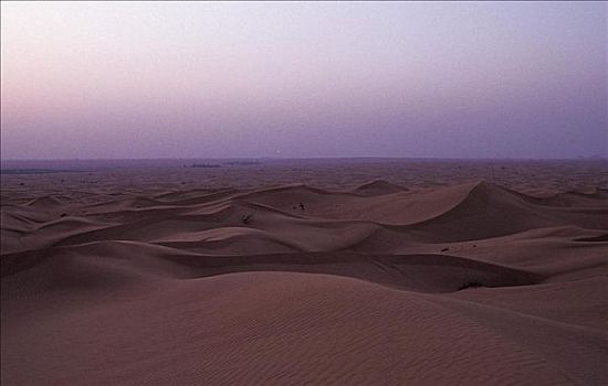 沙丘,沙漠,黃昏,黎明,迪拜,酋长国,阿拉伯半岛,中东