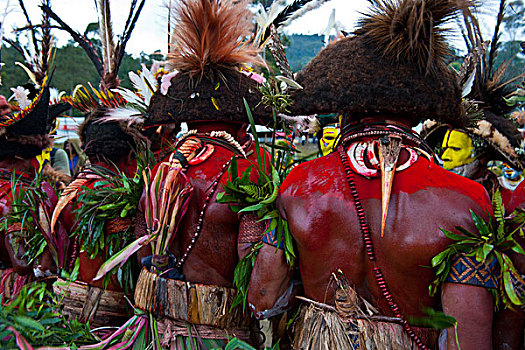 彩色,衣服,脸,涂绘,部落,庆贺,传统,唱歌,高地,巴布亚新几内亚