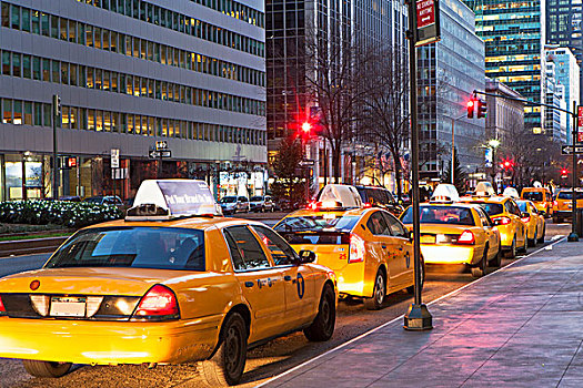 排,黄色,出租车,靠近,人行道,纽约,美国