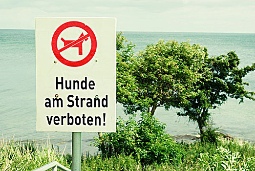 标识,禁止,德国,狗,海滩,费马恩岛,岛屿,石荷州,波罗的海,欧洲