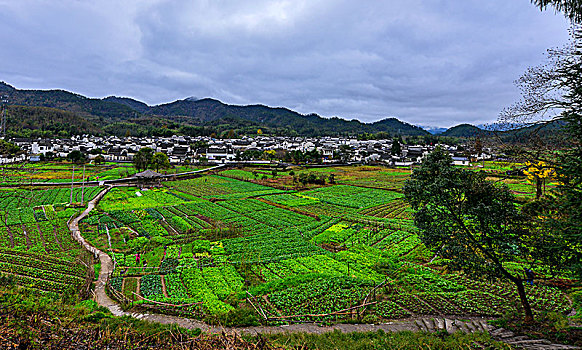 安徽西递风光