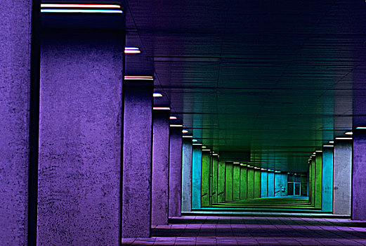 荷兰,鹿特丹,建筑,绿色,紫色