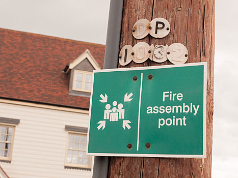 绿色,标识,户外,木质,杆,说话,火灾,指示