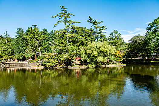 日本奈良公园内严岛神社的鸟居