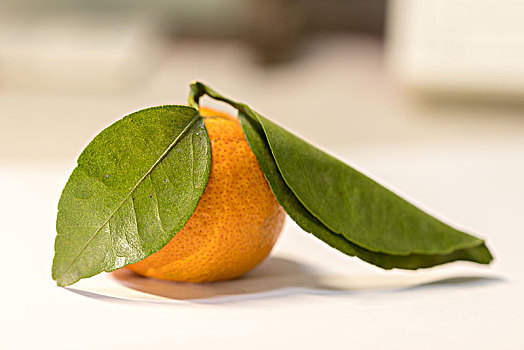 特写的橘子