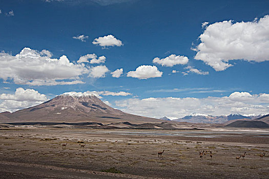 火山,安托法加斯塔大区,智利