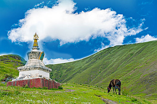 318国道青藏高原