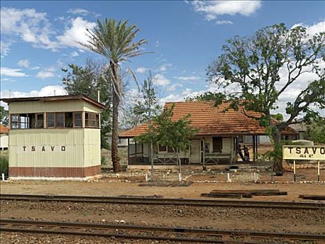 肯尼亚,查沃,火车站,地点,两个,狮子,许多,非洲,工人,1898年,拿着,向上,建筑,桥,乌干达,铁路,几个