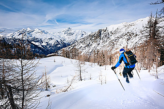 冬季运动,男人,滑雪,粉状雪,意大利阿尔卑斯山,欧洲