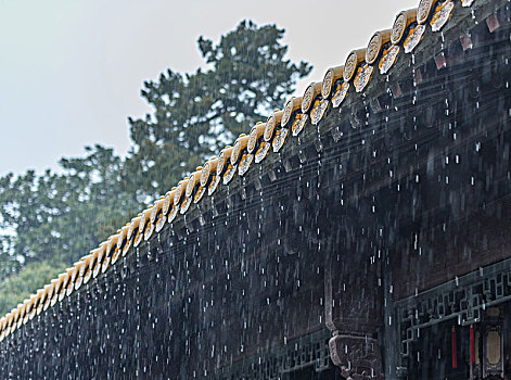 屋檐,雨线,大雨,文澜阁,杭州