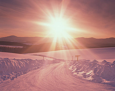 雪,道路,太阳