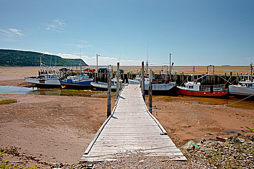 渔船,退潮,港口,芬地湾,新斯科舍省,加拿大