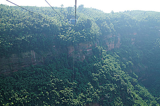 陡峭的悬崖峡谷,茂密的竹子