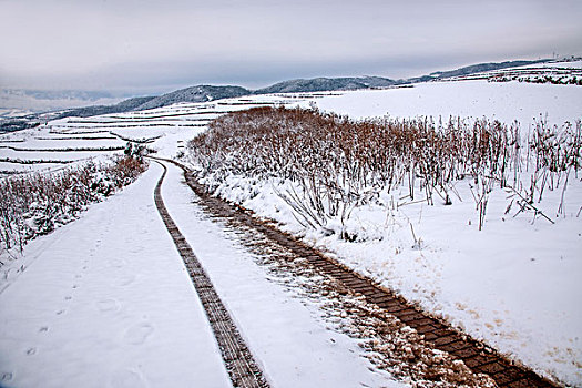 云南东川红土地雪原中的公路