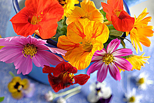 花束,食用花卉,瓷釉,容器