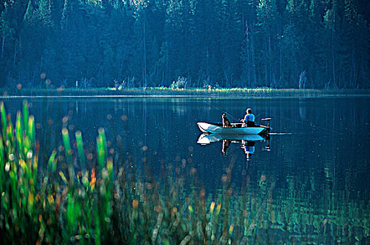 钓鱼,男人,狗,湖,不列颠哥伦比亚省,加拿大