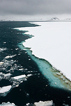 南极,浮冰,边缘