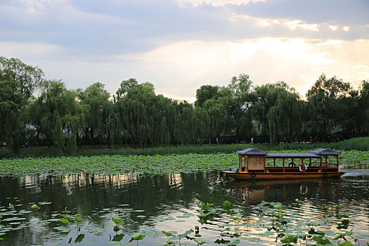 北京皇家园林颐和园西湖荷花池里的游船