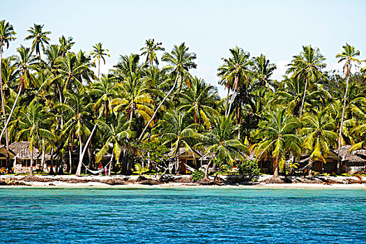 棕榈海滩,南,海洋,种植园,岛屿,玛玛努卡群岛,斐济,大洋洲
