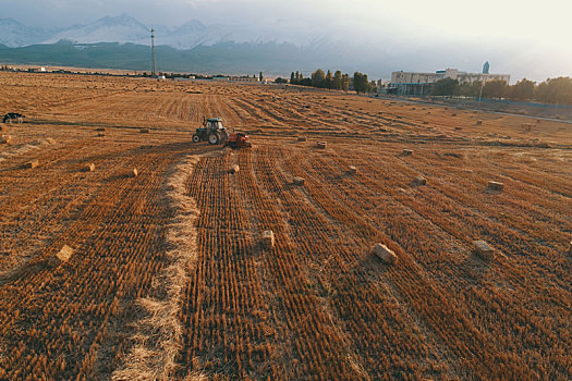 新疆巴里坤,秸秆打捆,诗情画意的麦地