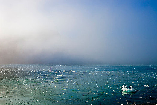 北极,斯瓦尔巴特群岛,海冰,三个,时期,水,一个,水汽,著名,雾气,温暖,空气,寒冷