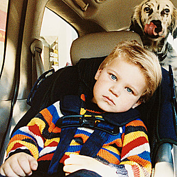 男孩,头像,座椅,狗,背影,汽车