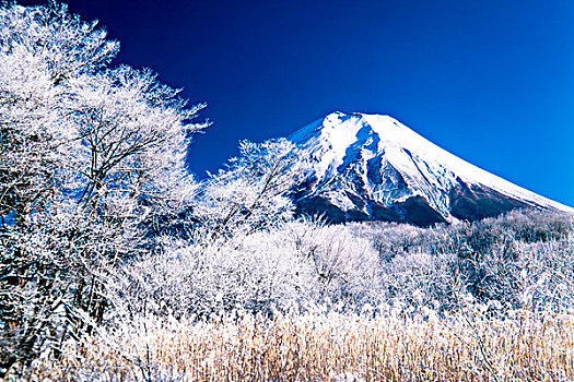 山,富士山,模糊,冰