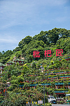 2022年重庆市南岸区南山重庆最大的火锅园----枇杷园