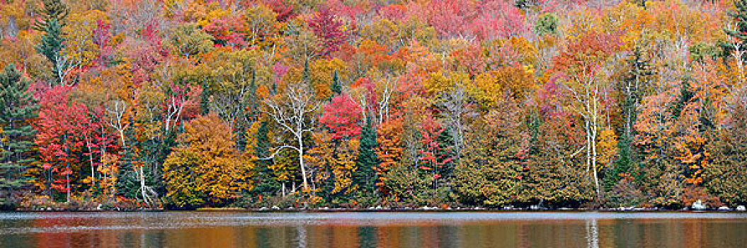 湖,秋叶,山,新英格兰
