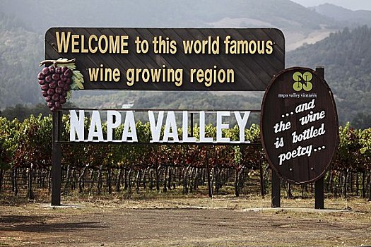 标识,那帕山谷,葡萄种植园,加利福尼亚,美国