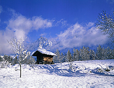 法国,木房子,雪