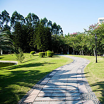 石头,道路,花园,白天