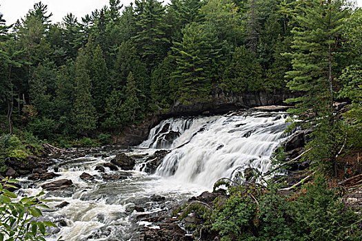 瀑布,树林,河,魁北克,加拿大