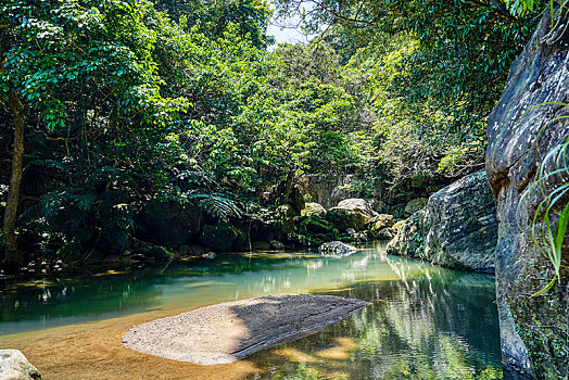 丛林,岛屿,冲绳,日本