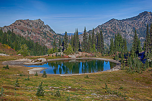 美国,华盛顿,雷尼尔山国家公园,高山,山中小湖,环,靠近