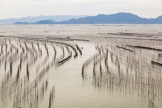 海田