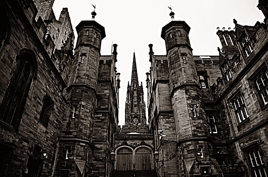 大学,爱丁堡,历史建筑,特写