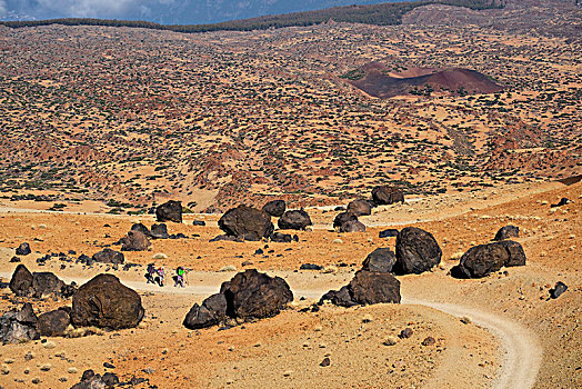 火山岩,球,小路,泰德国家公园,公园,特内里费岛,加纳利群岛,西班牙,欧洲