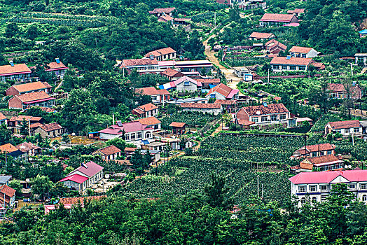 丹东市虎山村