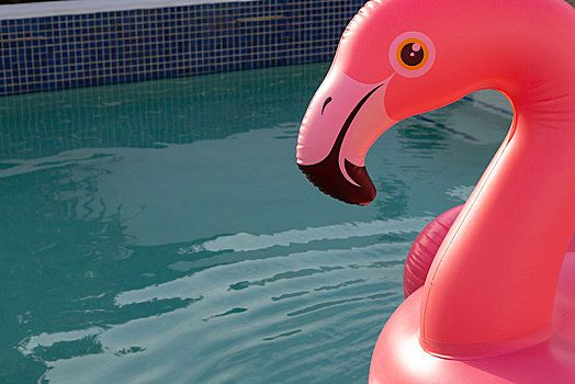 粉红火烈鸟,鸟,形状,充气圈,漂浮,游泳池