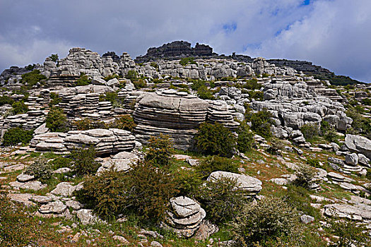 石灰石,石头,安提奎尔,马拉加省,安达卢西亚,西班牙,欧洲
