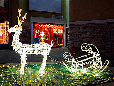 彩灯装饰的圣诞节驯鹿