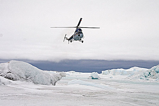 直升飞机,帝企鹅,企鹅,雪丘岛,南极半岛,南极