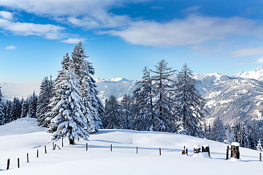 积雪,冬季风景,后面,滑雪,区域,萨尔茨堡,陆地,奥地利