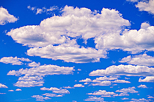 云,积云,蓝色背景,天空,不列颠哥伦比亚省,加拿大