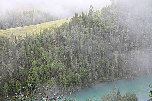 喀纳斯湖美景