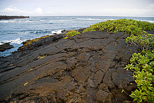 美国,海洋,黑沙,海滩,夏威夷大岛,夏威夷